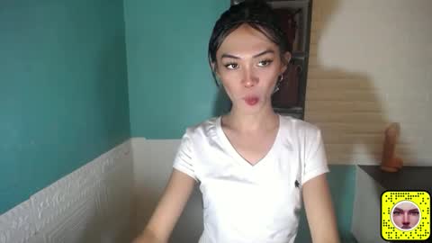 Moheera online show from 24, 3, 2026