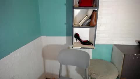 Moheera online show from 27, 3, 2026