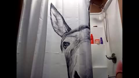 MissEeva online show from 28, 12, 2024