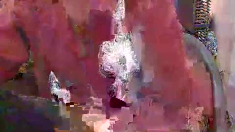 missporvi online show from 1, 6, 2026