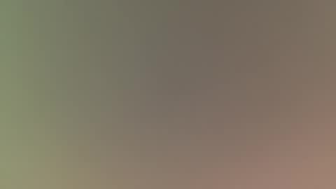 Mister Rug Burn online show from 14, 2, 2025