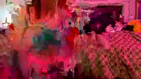 Smashing69 online show from 29, 7, 2026