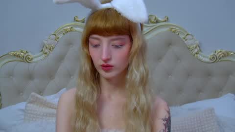 Misty online show from 3, 4, 2026