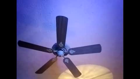 BobbyMitchGa online show from 20, 1, 2025