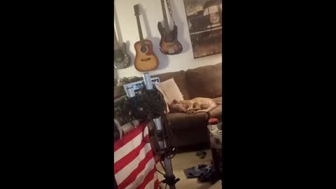 Snapshot of mitchnails69 chatting on 29, 4, 2026 BobbyMitchGa online show from 29, 4, 2026