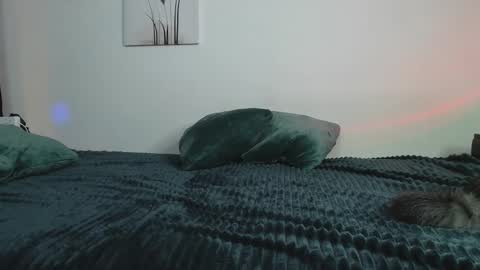 Snapshot of miuri_miy chatting on 12, 2, 2025 Yuka online show from 12, 2, 2025