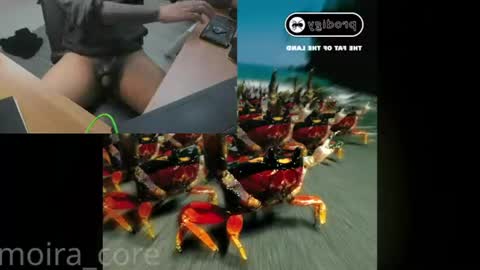 Snapshot of moira_core chatting on 24, 7, 2026 moira_core online show from 24, 7, 2026