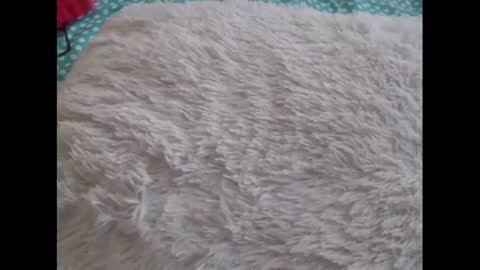 Molly And Brad online show from 6, 2, 2025