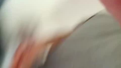 Snapshot of moloko1000 chatting on 16, 9, 2025 Stefano online show from 16, 9, 2025