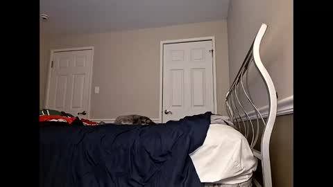 moneyboysaveg584 online show from 12, 4, 2026