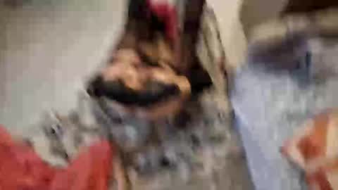 Monikina online show from 23, 2, 2026