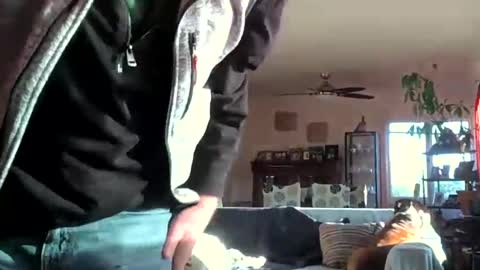 Monkee Dance online show from 6, 12, 2024