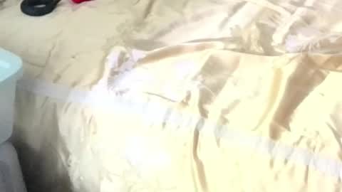 montydxxx2 online show from 15, 2, 2026