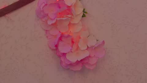 Im a independent model  Welcome online show from 12, 4, 2026