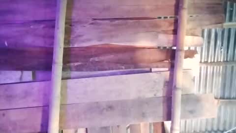 moon_roxee online show from 4, 1, 2025