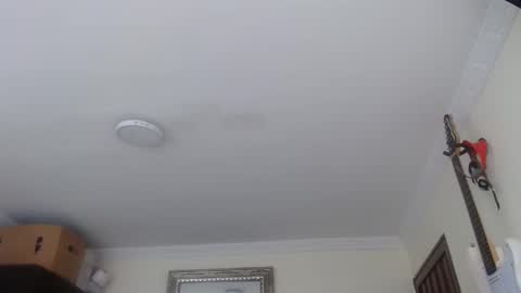 Snapshot of morbidangel08 chatting on 12, 1, 2026 Abelardo online show from 12, 1, 2026