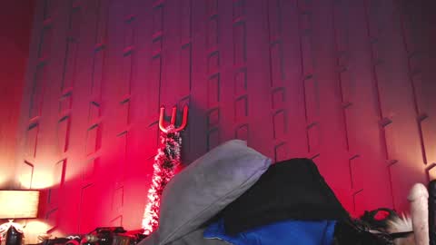 Morgana online show from 13, 12, 2024