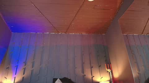 Morgana online show from 21, 1, 2025