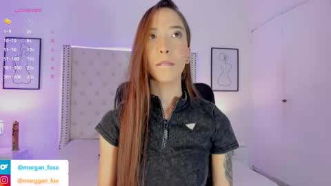 Morggan Castle online show from 13, 2, 2025