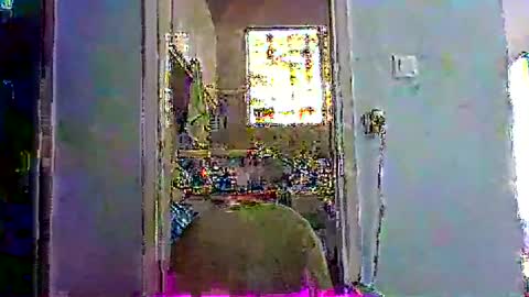 mppempis81 online show from 15, 1, 2026