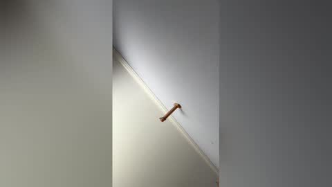 Hunter online show from 14, 2, 2026