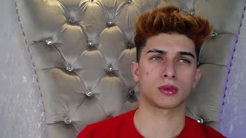 williseo online show from 24, 11, 2025