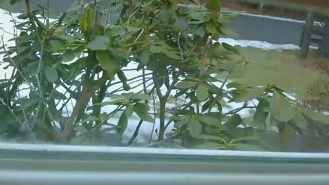 mrbrigggs online show from 14, 1, 2026