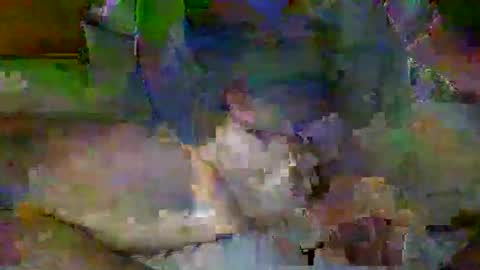 Snapshot of mre11118957 chatting on 6, 4, 2026 Mr-E online show from 6, 4, 2026