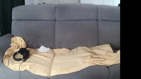 I am Hardy online show from 5, 12, 2024