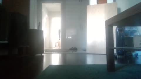 Snapshot of mrhandsomelovee chatting on 6, 2, 2026 Nikola online show from 6, 2, 2026