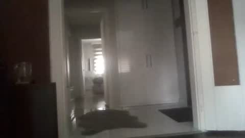 Snapshot of mrhandsomelovee chatting on 13, 3, 2026 Nikola online show from 13, 3, 2026