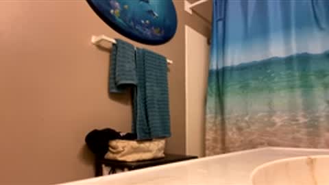 Snapshot of mrmeltyourheart chatting on 3, 2, 2026 James online show from 3, 2, 2026