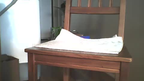 Longshot online show from 26, 12, 2024