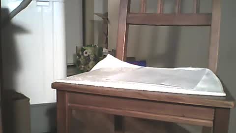 Longshot online show from 29, 12, 2024