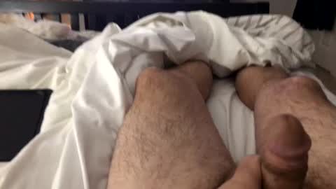 mrrogue online show from 26, 2, 2025