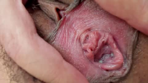 Annabelle  online show from 26, 1, 2025