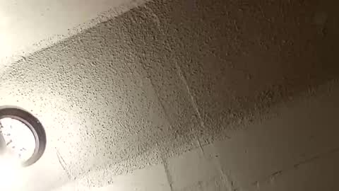 melissa online show from 10, 1, 2026