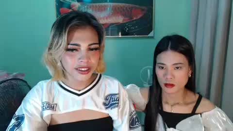 msmeygan online show from 25, 6, 2026