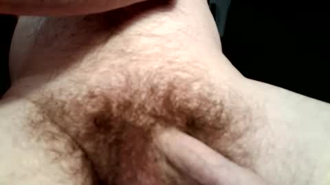 muaddib49 online show from 5, 1, 2026