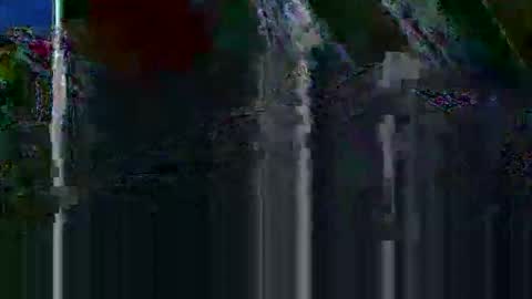 mudjimba online show from 15, 12, 2025