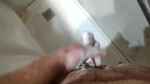 mugglesmuggler online show from 20, 3, 2026