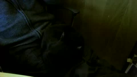 muller520 online show from 18, 3, 2026