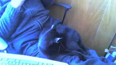 muller520 online show from 2, 4, 2026