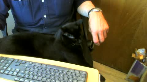 Snapshot of muller520 chatting on 31, 7, 2026 muller520 online show from 31, 7, 2026
