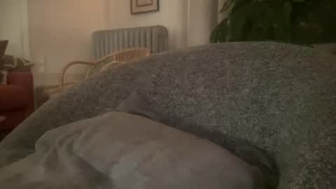 Snapshot of muslgut chatting on 16, 2, 2025 muslgut online show from 16, 2, 2025