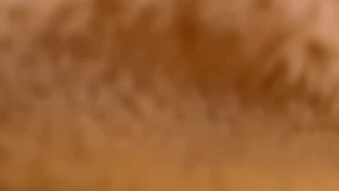 Mya-be Yours P online show from 12, 2, 2025