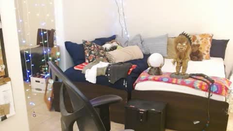 Snapshot of mycock4u247 chatting on 14, 2, 2025 LA MARIPOSA DE MARICOPA online show from 14, 2, 2025