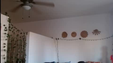 Snapshot of mycock4u247 chatting on 21, 2, 2025 LA MARIPOSA DE MARICOPA online show from 21, 2, 2025