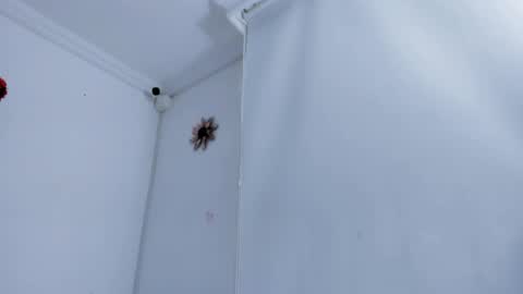 Snapshot of mystery_couple0 chatting on 11, 4, 2026 Mystery couple online show from 11, 4, 2026