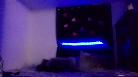 Snapshot of nadiabella07 chatting on 15, 2, 2026 Missbellaaaxox online show from 15, 2, 2026